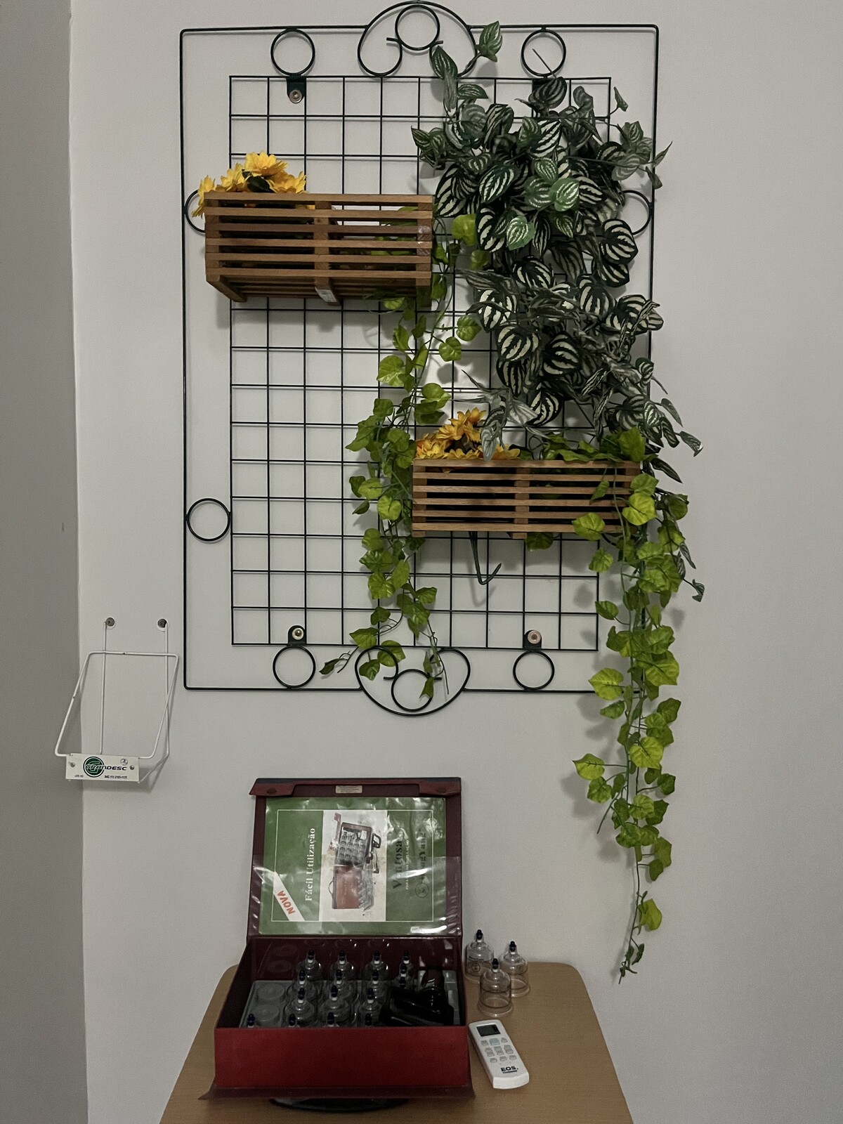Mesa com kit de ventosas ao lado de prateleiras com plantas decorativas
