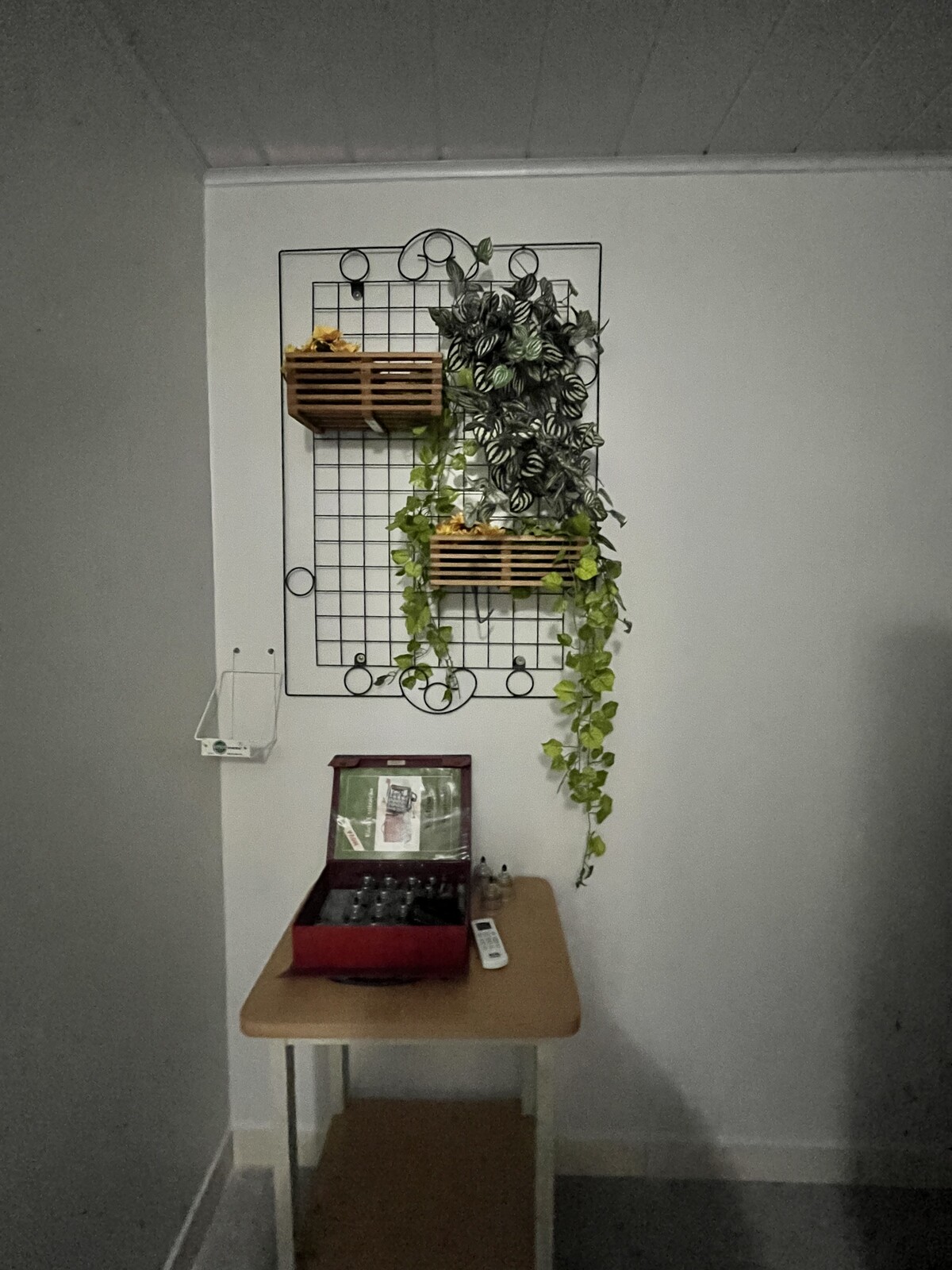 Parede decorada com plantas e mesa com kit de ventosas